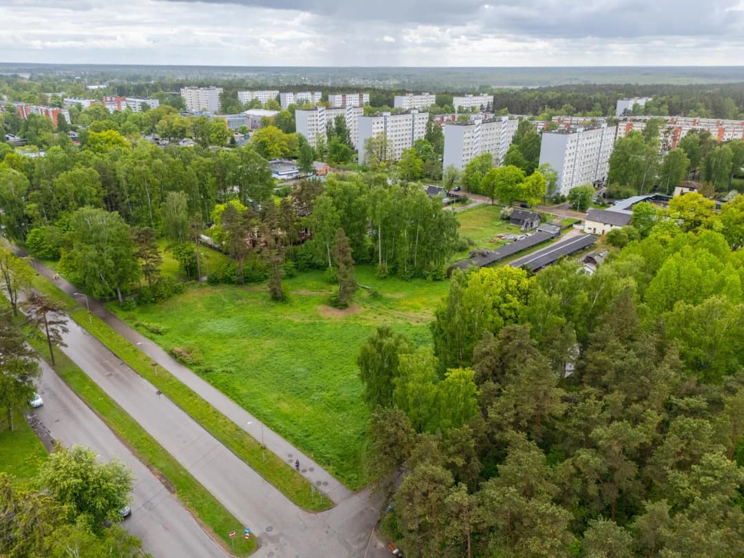 Tallinas iela, Kauguri, Jūrmala