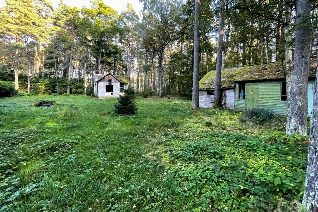 Zeme, 1713㎡ - Jūrmala, Druvciems — bilde 2