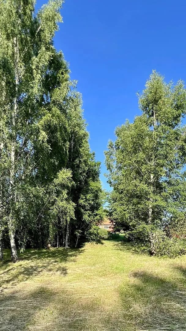 Zeme, 2240㎡ - Liepas pagasts, Liepa — bilde 3