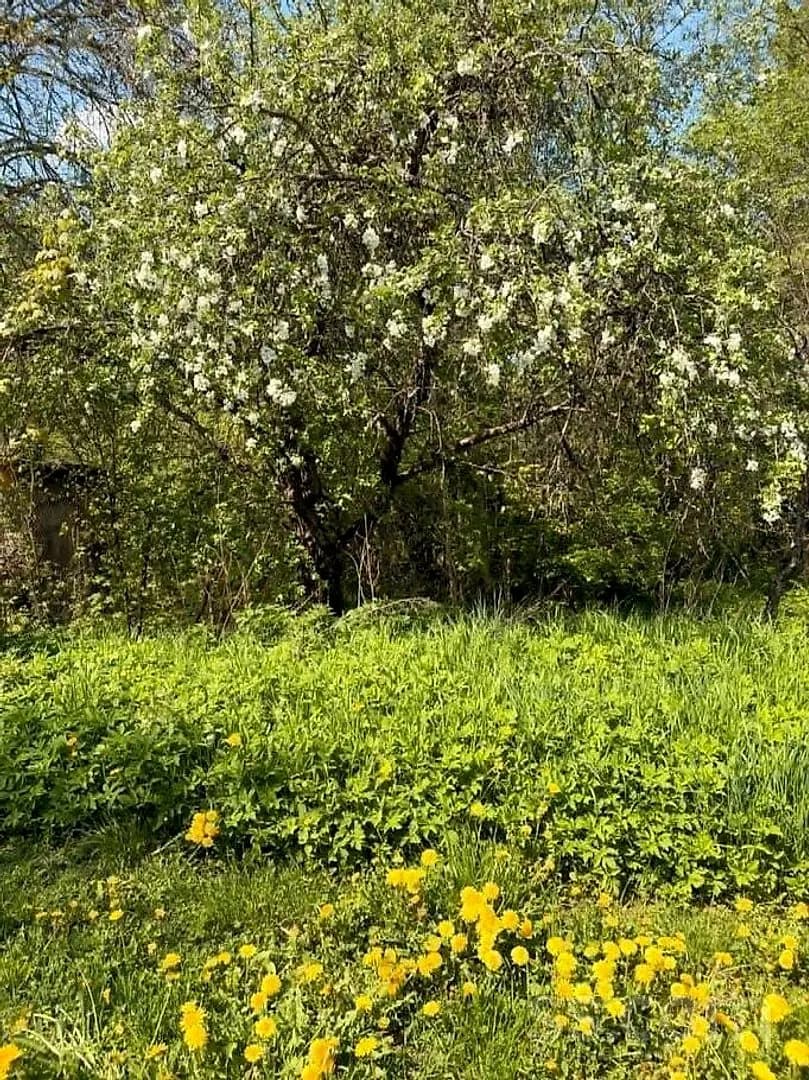 Māja — D/b Saulīte — vēl bildes